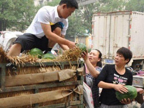 砀山县吃瓜事件视频,一场引发热议的网络视频风波