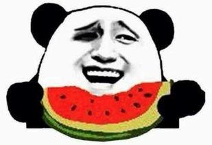 吃瓜群众吃瓜合集视频,盘点热门合集视频