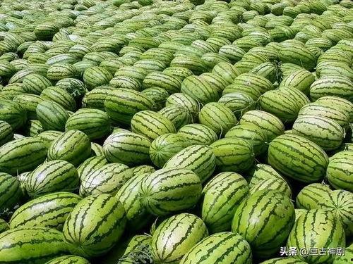 宁夏小学老师吃瓜视频,宁夏小学老师吃瓜视频引发热议