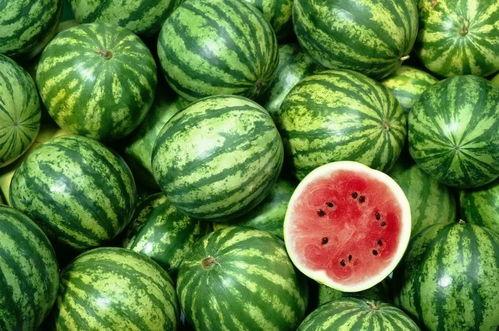 中国人吃洋奶瓜视频网站,揭秘中国人热衷的海外美食风潮