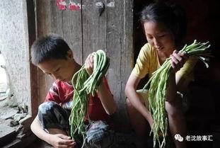 越南姐弟吃瓜视频大全